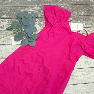 LUSH Cold Puff Shoulder Mini Dress